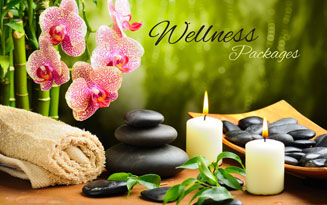 Ambience  Travels  and Tourism LLC UAE. | Wellness Packages